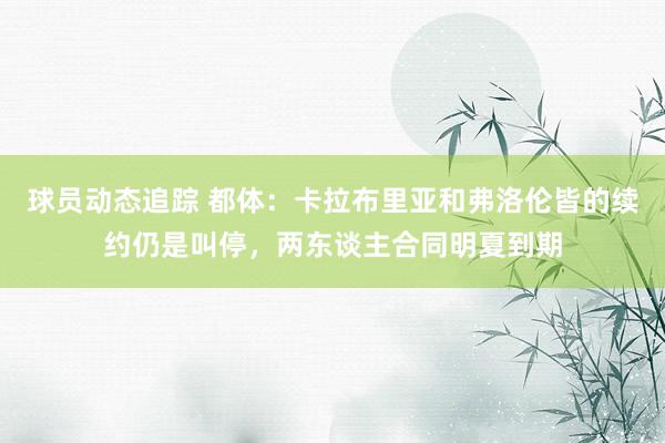 球员动态追踪 都体：卡拉布里亚和弗洛伦皆的续约仍是叫停，两东谈主合同明夏到期