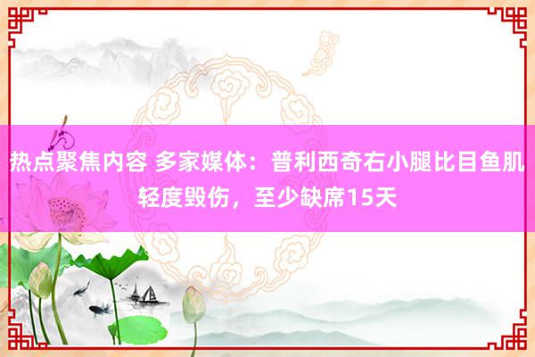 热点聚焦内容 多家媒体：普利西奇右小腿比目鱼肌轻度毁伤，至少缺席15天