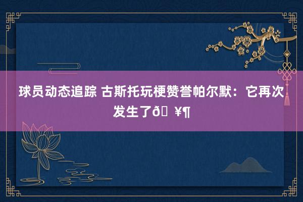 球员动态追踪 古斯托玩梗赞誉帕尔默：它再次发生了🥶